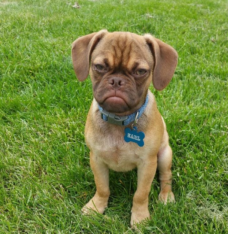 4479de591181e618ae6a9aa5bb