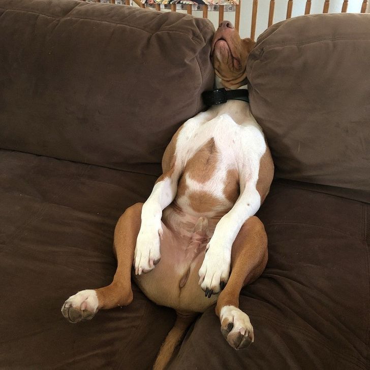 4480565df6b7daf77be60bd1e9