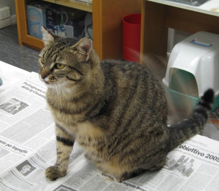 4484ac543595373d49bde6516f