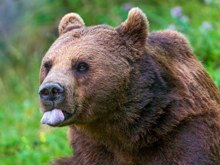 4489b55399ba46292fb57ae813