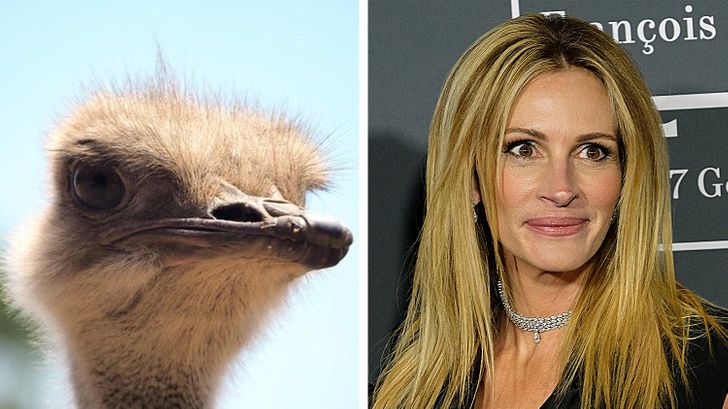 448cf9568b967af738ed949d5d