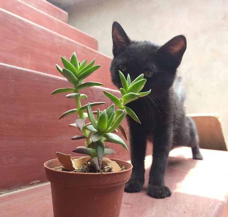 4493455a4f958885d736bff65b