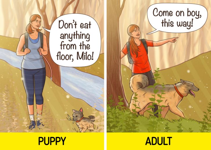 44934854fca165a71af2498760 44934854fca165a71af2498760