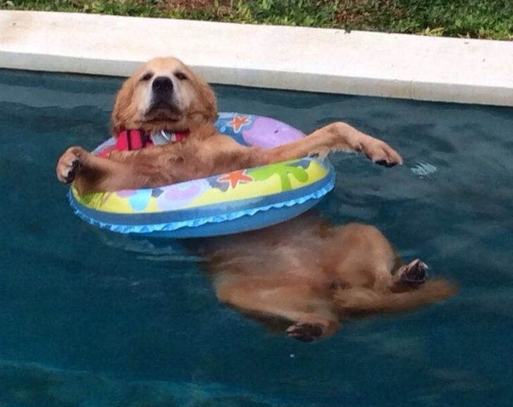 4496365653b24bac9c010a9bfa