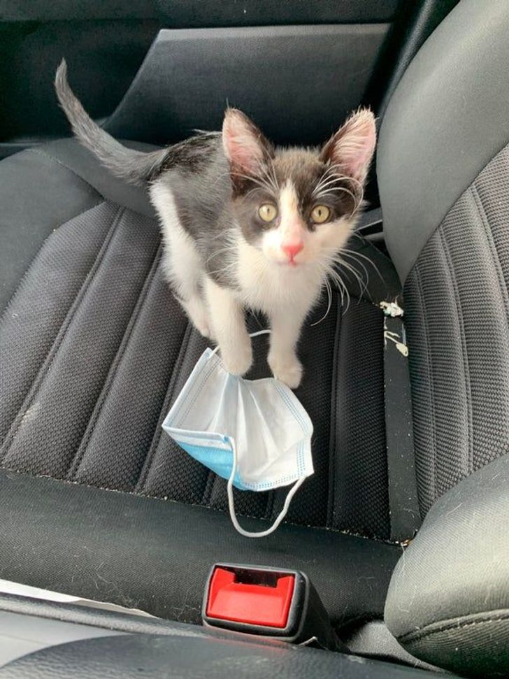 449c8954599243b0b75de86c2c