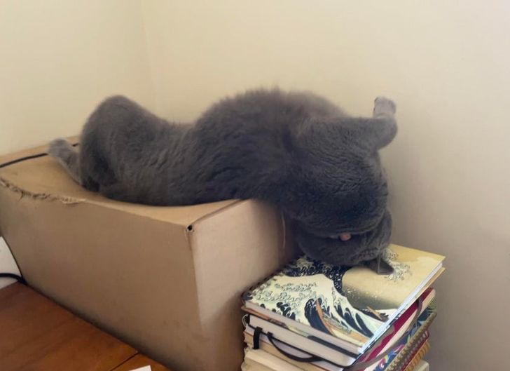 44a1bc55daaa92e5e89f589648