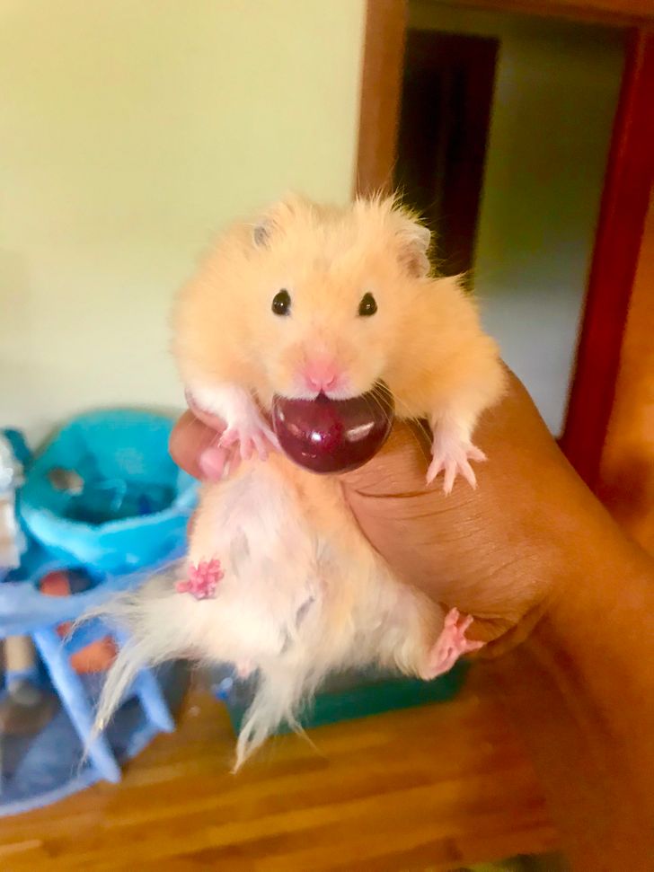 44a233594ca03473c10b9f7ddf