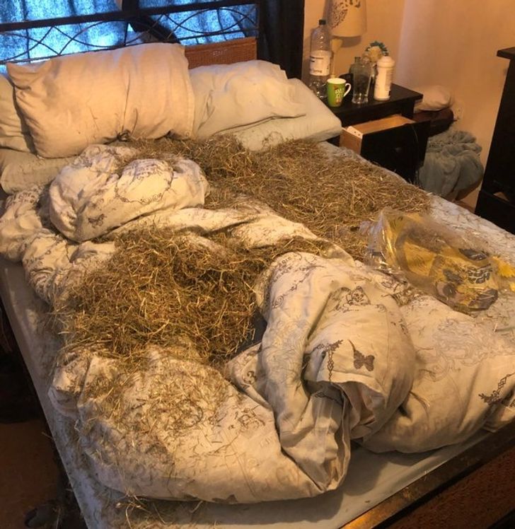 44a7bf51519f88eb40508c9259