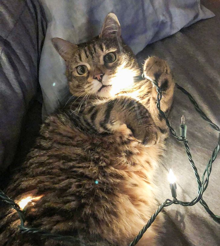 44ac685e27a7f79cbc9160501e