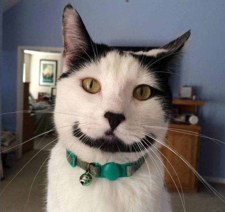 44ad9a54c5b34aecbf7c44193e