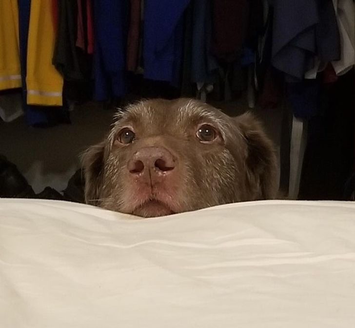 44b4455d1a996aeb954c54e6f5