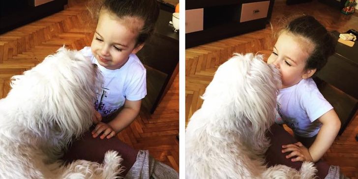 44c8b85d28a907b2ed8c1e1a83