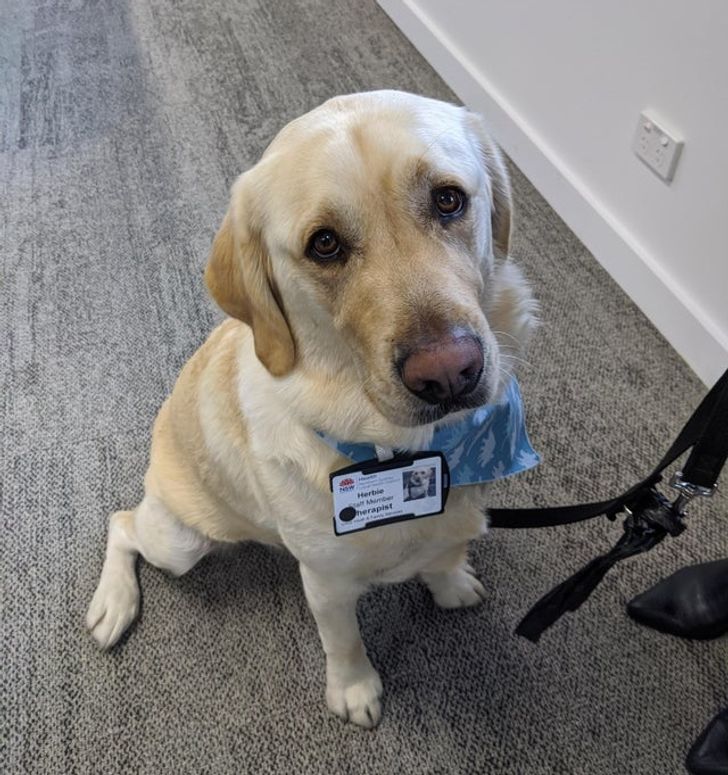 44d09653389e5c707acaacbf08