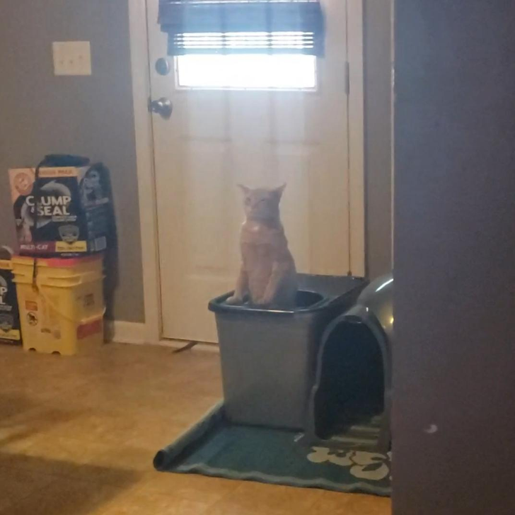 44d1ce59c39856c80b6e39bee2 44d1ce59c39856c80b6e39bee2