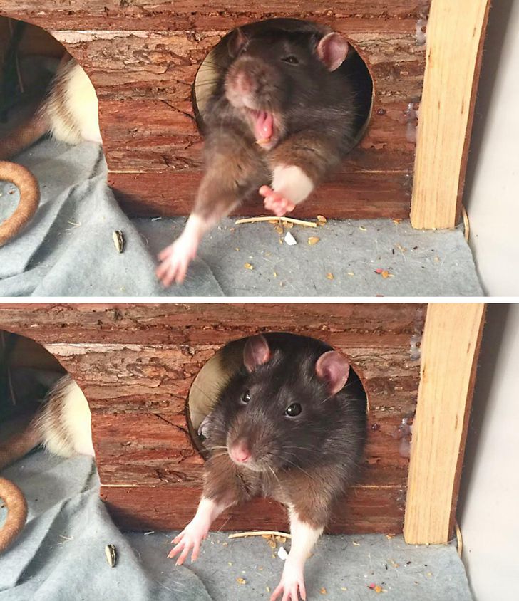 44ddda5b71b060c3e477383298