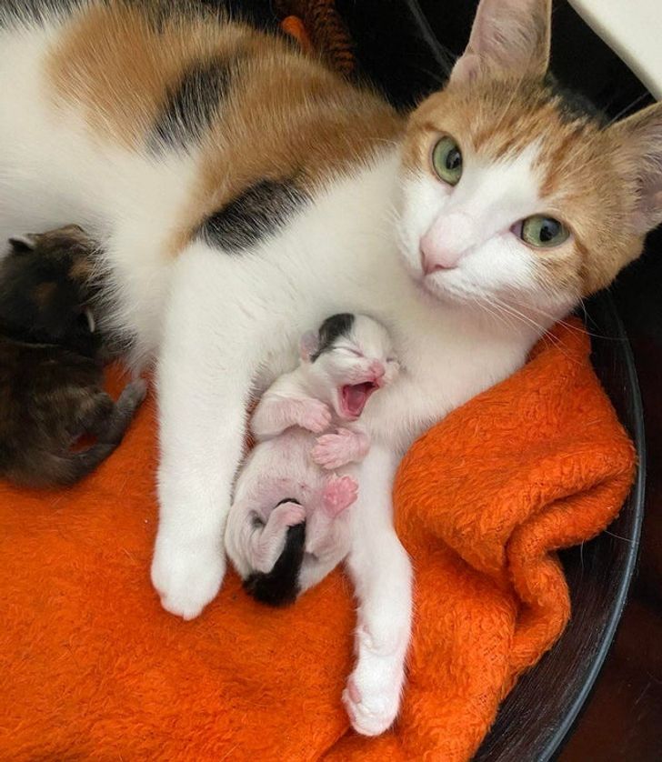 44df5f5499a73aa1fad245fbed