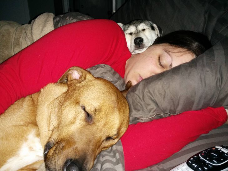 44e31754648ada41149a1b97c5