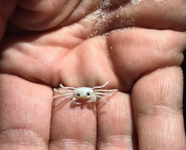 44f35e5be6965032c904f93d1a