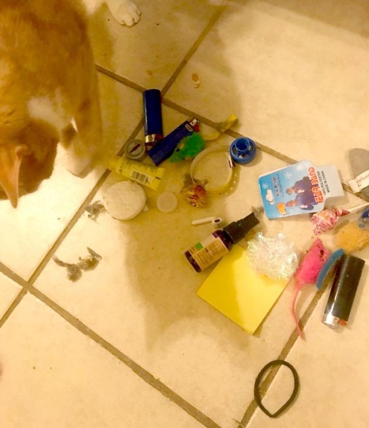 44fe9050ab9f9381ce58bb1d8a