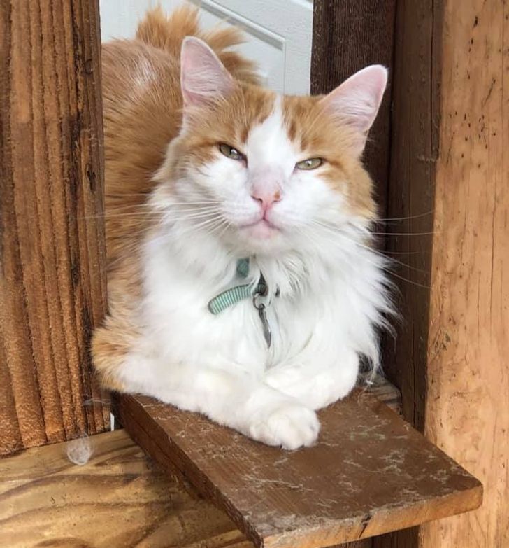 45030450a1bfed6422a100d2d2