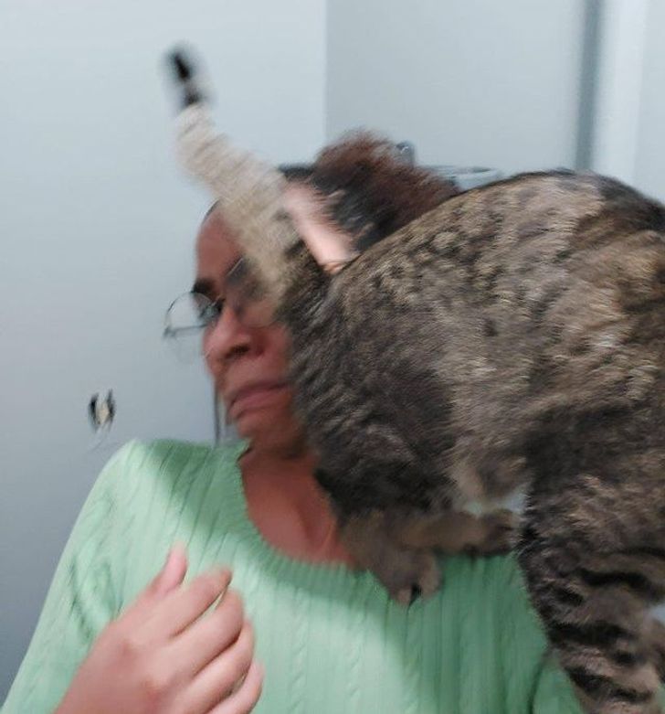 450594535d9d545c0f362ac910