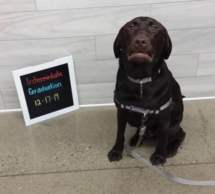 45093e529ebd2a6297d45ad8b9