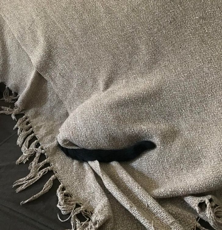 450b4b5bb69f1e1423da88e562