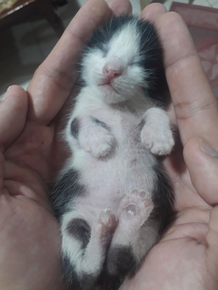 45139157579e334254b2a9df7a