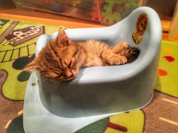 4519345430872b2f3df0483a65 4519345430872b2f3df0483a65