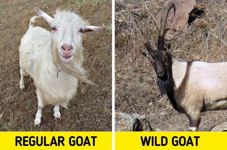 451a2f5ef08a2dadc0e70a7a6b