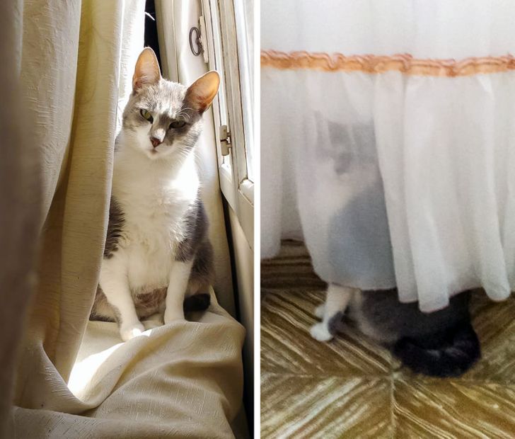 451d585c50bb2376263e878a9b