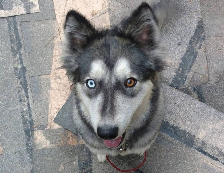 45207653d4af5f51b70c947c16