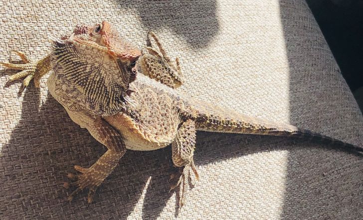 45289054c2bd50075fe121352f 45289054c2bd50075fe121352f