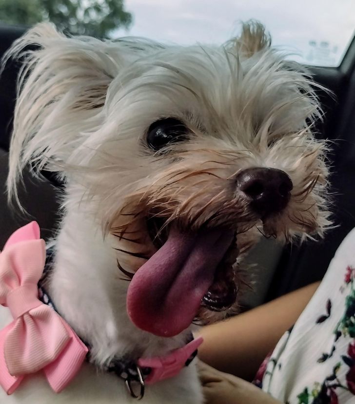 4528b956539efbadafa16da221