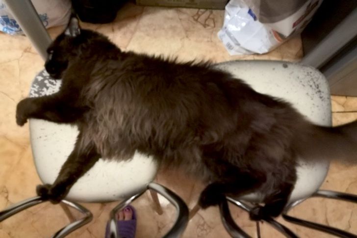 4529f6528292e0dfbaa84371bf