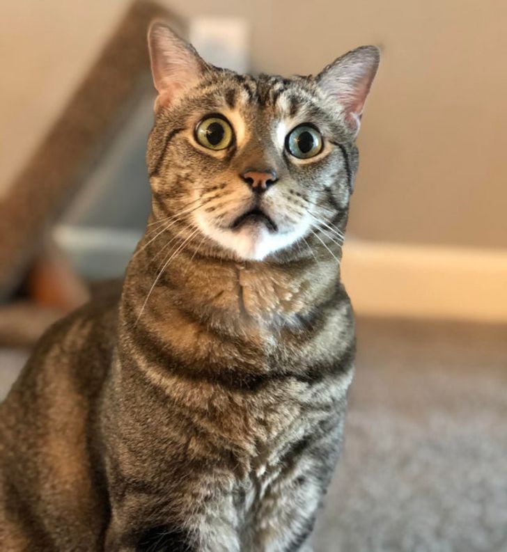 4534f451599450a1d5ffc3b689