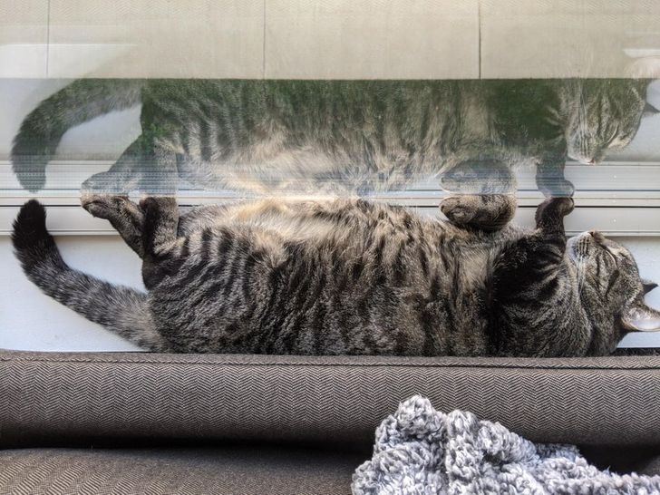 454913564e8d3f7bad55674879