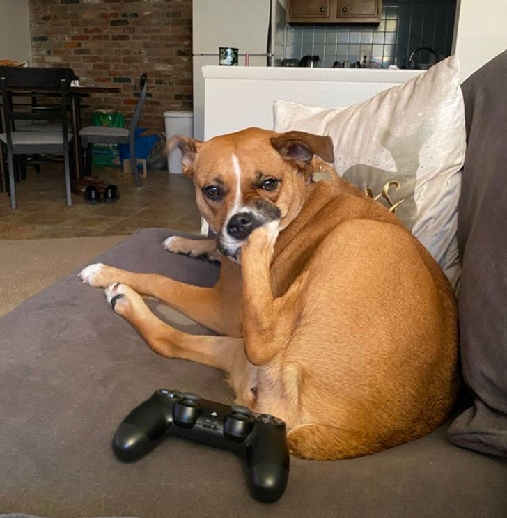 4557bc59e8875578a9705d2cc8