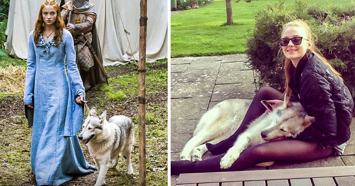 455844557dab077dff0023ceb2