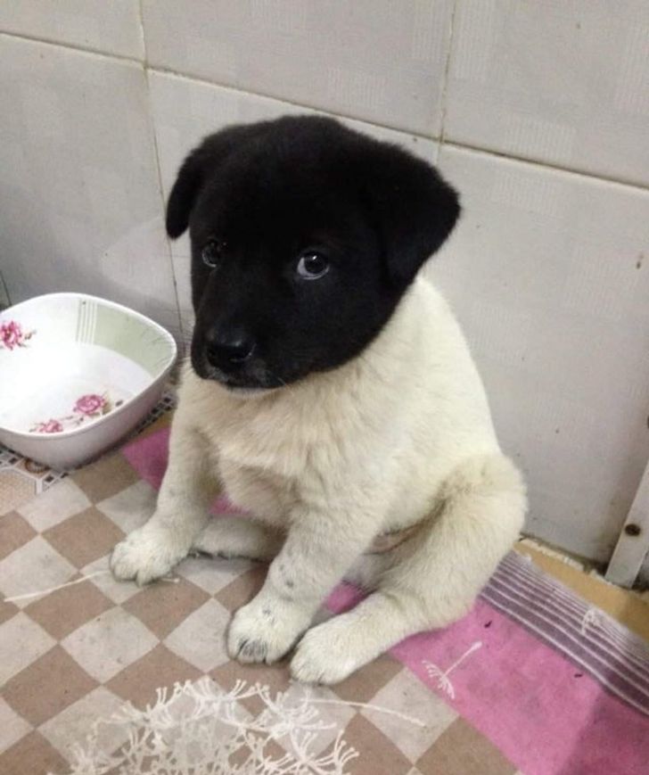 4563ad5062accaff1a12e1d696