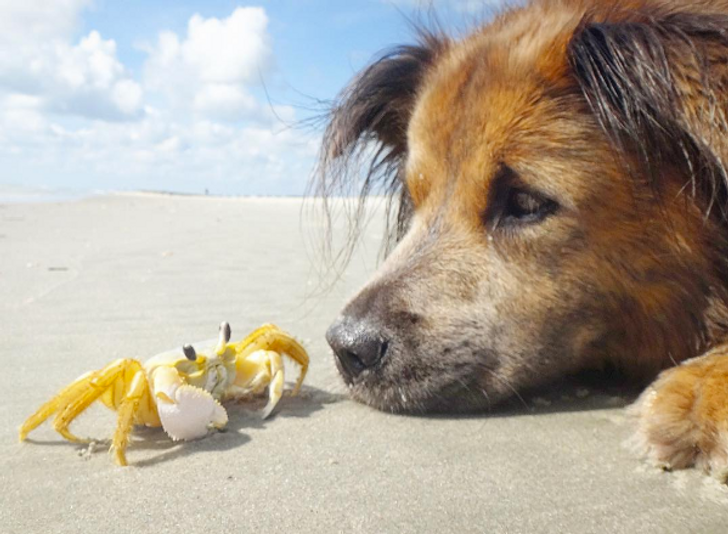 456a7a5c0aabb043ce6e9fbebe