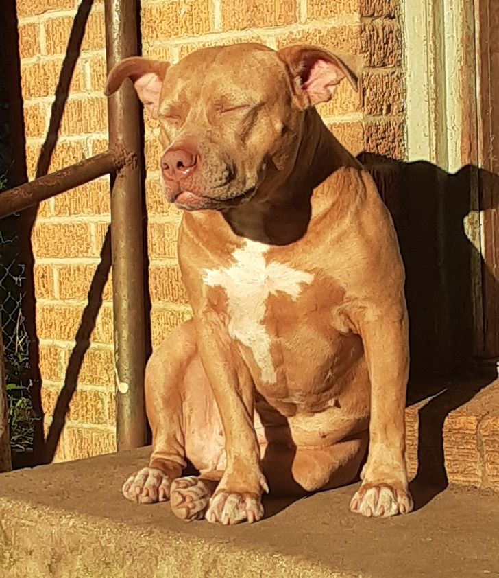 456c575c8e81d0cc7d0ab18273