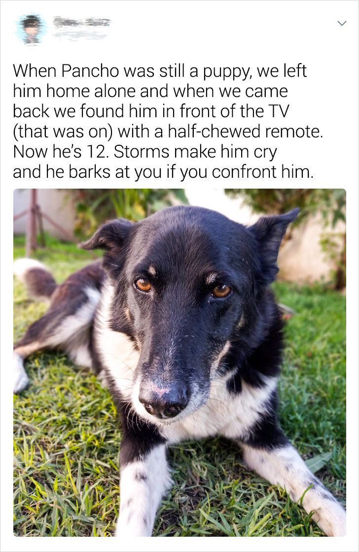 456f0359339de491bbad2d1820