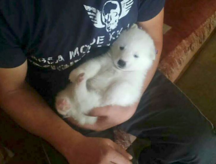 456f635b5da9b38ac4bf42c525