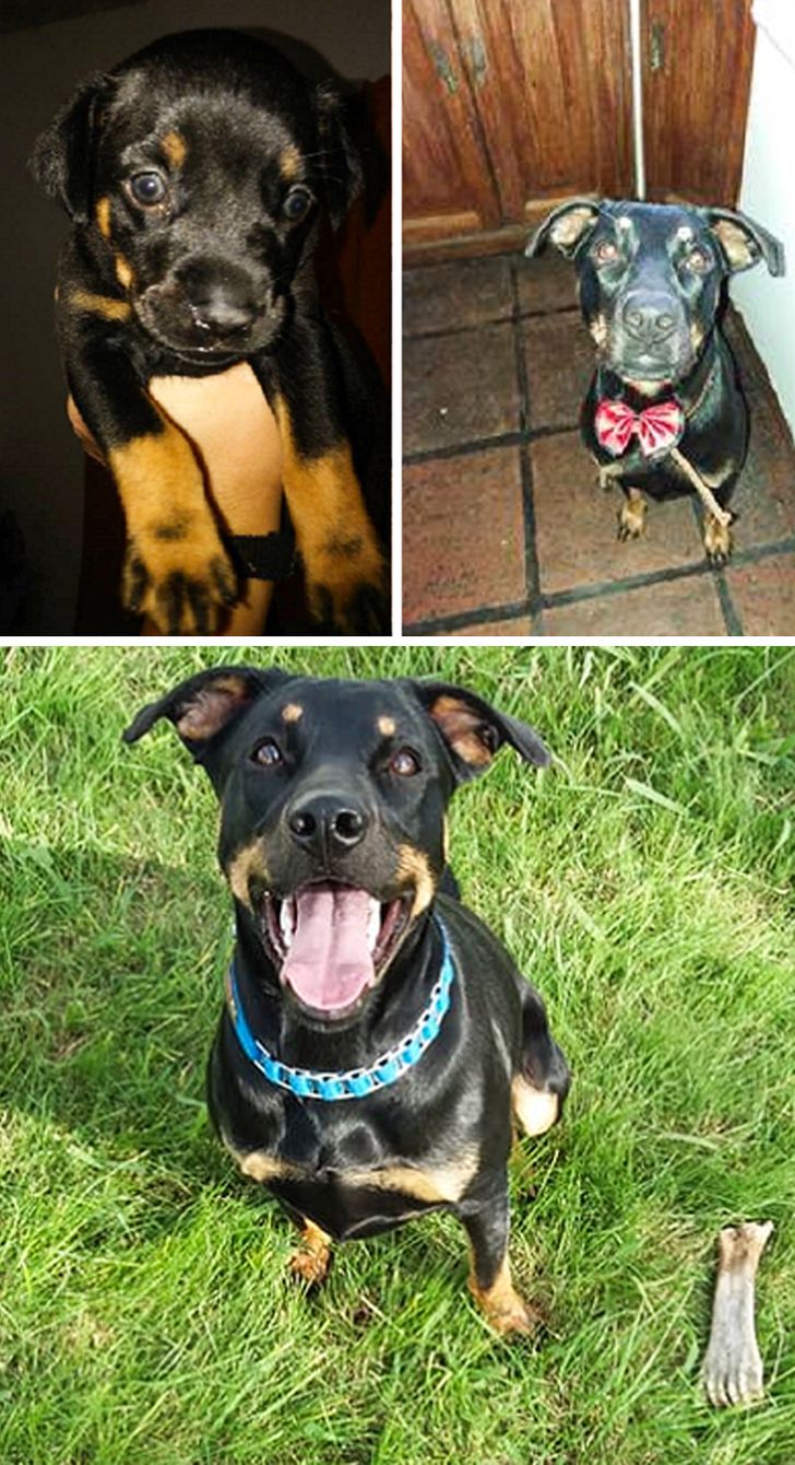 4572de5d658c63eb9f4e74842f