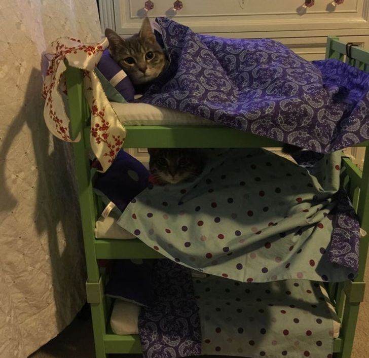 4574205d44b2883f8030d2b16f