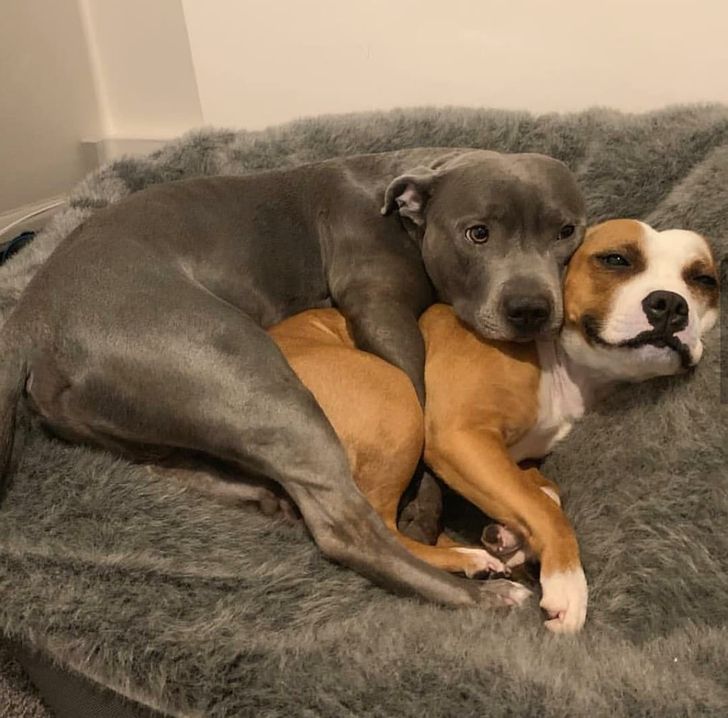 45760956dba4dc68672bfbbf8b