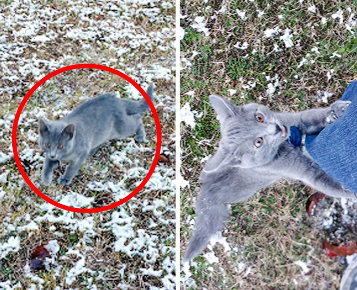 45781a5303828f052f83de1088