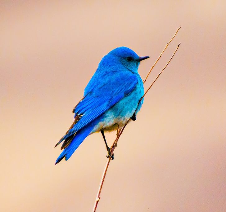 457a0f540eaeafa800f346110e