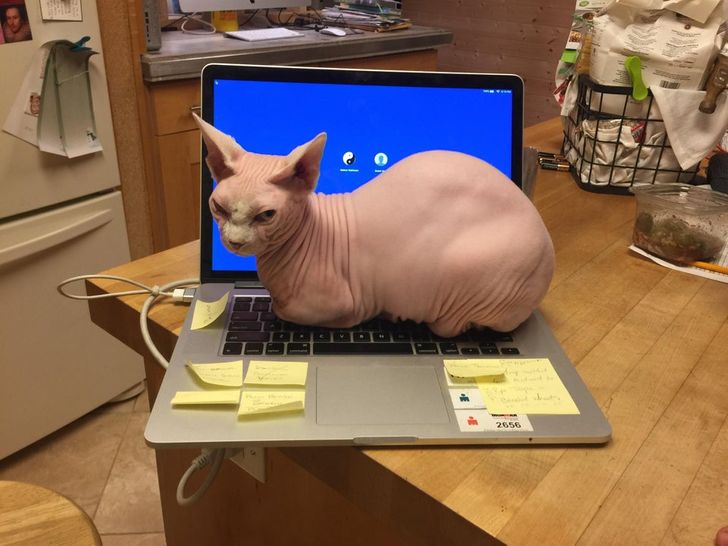 457e7c516a8d15f1dea68fd7e4